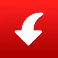 Pinterest Video Downloader