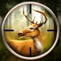 Deer Hunter!