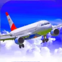 Airplane flight simulator 3