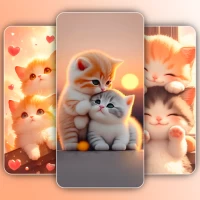 Cute Cat Wallpaper Live HD 4K