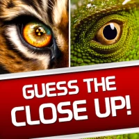 Guess the Close Up Pics Quiz